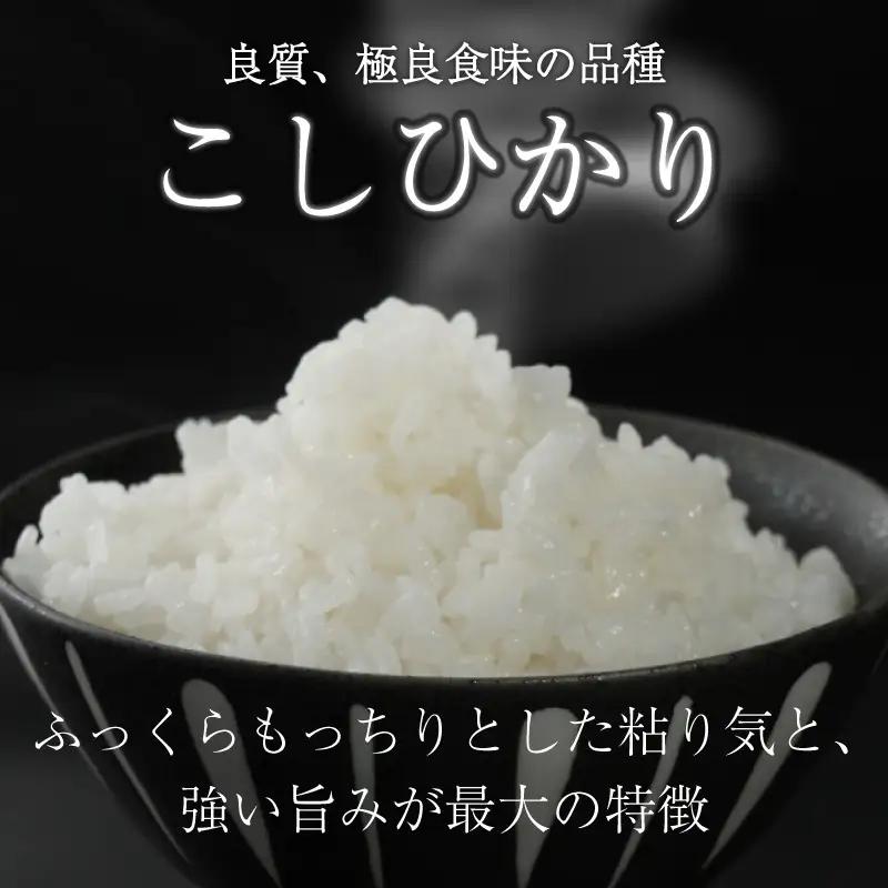 令和8年産  新米 先行予約 こしひかり 10kg 12回定期便 新米