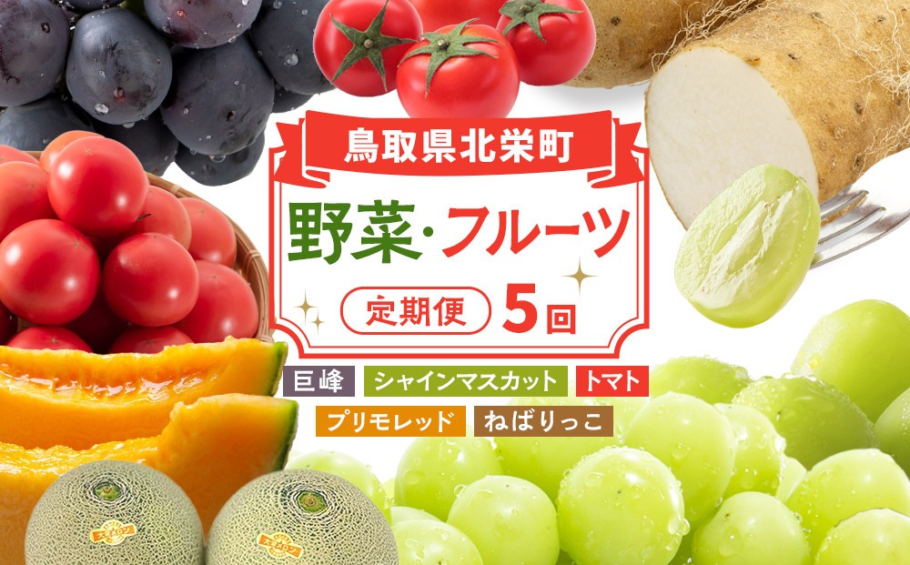 
            1015.鳥取県北栄町から旬の美味しさをお届け！特産づくし【5回定期便】（巨峰・シャインマスカット・プリモレッド・トマト・ねばりっこ）
          