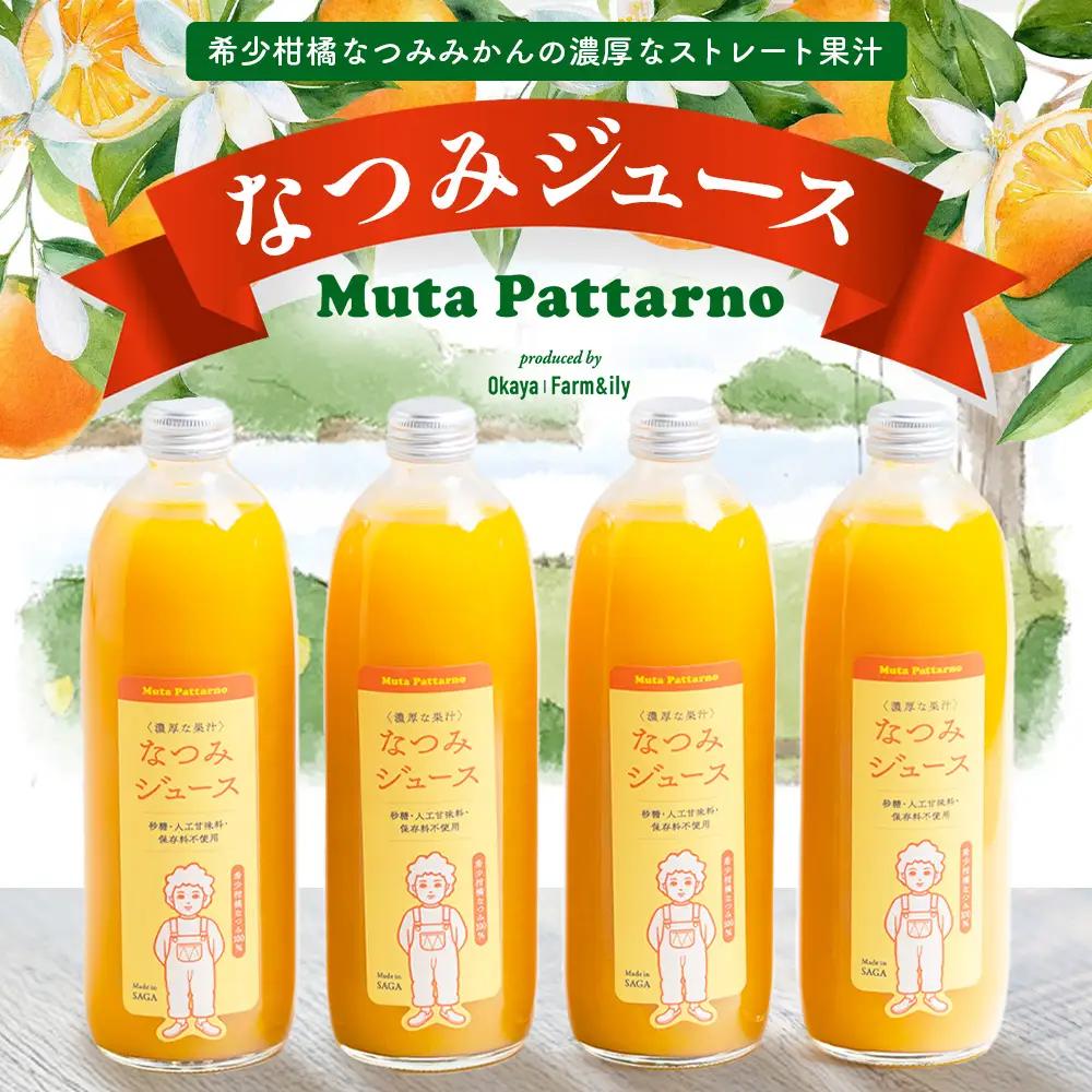 B-882 なつみジュース500ml×4本 希少柑橘なつみみかんの濃厚なストレートジュース 佐賀県 鹿島市