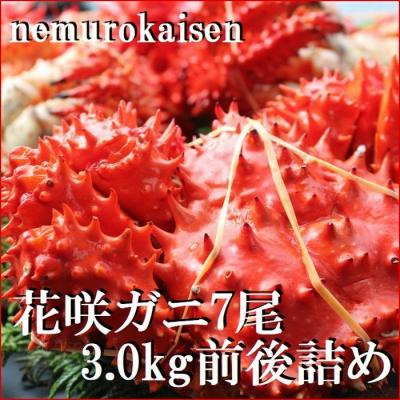 ふるさと納税 根室市 【北海道根室産】花咲ガニ7尾(計3.0kg前後) C-57054