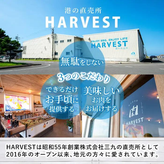 ＜数量限定＞九州産！ポークトマホークブロックS(約2.0～2.5kg) 国産 豚肉 骨付き肉 チョップステーキ ローストポーク BBQ バーベキュー【三九】akn006-07