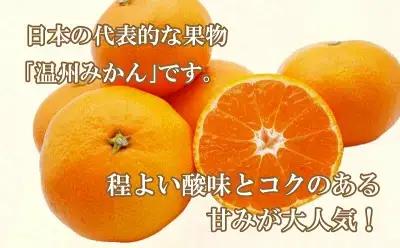 【愛媛みかん】 10kg みかん