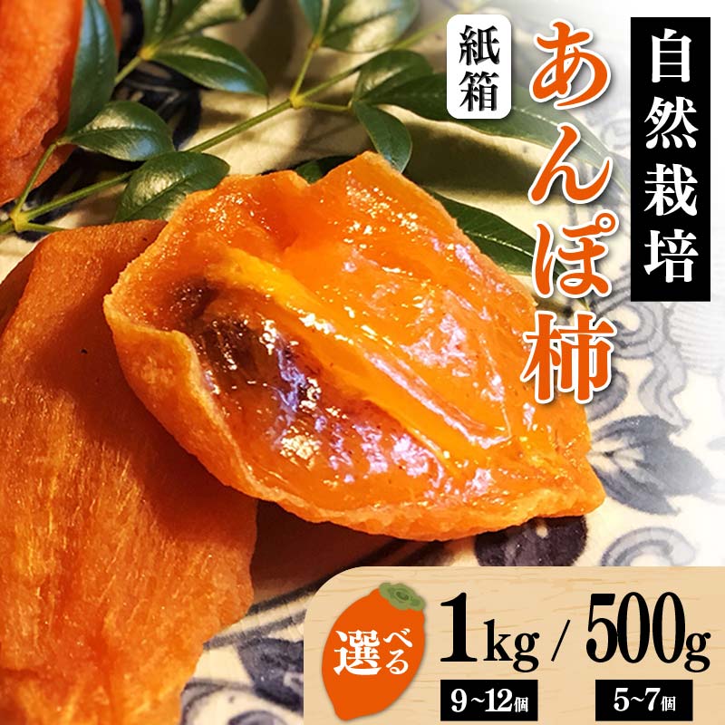 【ふるさと納税】 【贈答用】自然栽培あんぽ柿 紙箱 【500g（5～7 個入り）/1kg（9~12個入り）】 F20C-969var