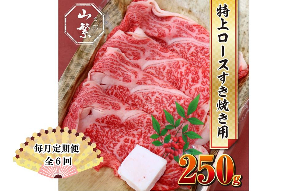 
                  【毎月定期便全6回 】名産 認定肉 宇陀牛 国産 黒毛和牛 特上 ロース すき焼き 約250g チルド / 宇陀 山繁 ふるさと納税 牛肉 人気 ギフト 寄付 ランキング おすすめ グルメ 肉 返礼品
                
