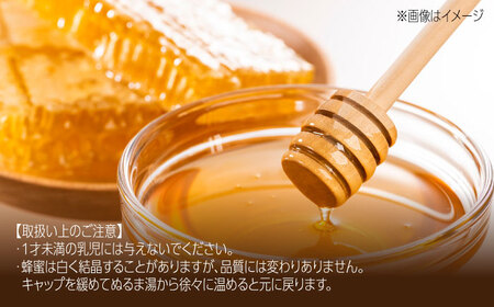 蜂蜜 コハマのハチミツ 500g 2本セット   BCAQ004