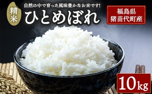 令和7年度産 ひとめぼれ 精米 10kg  | 米 こめ 白米 精米 ごはん お米 10キロ 国産米 ブランド米 福島県産 農家直送 産地直送 さくらファーム おにぎり 弁当 家庭用 精米済み 猪苗代町