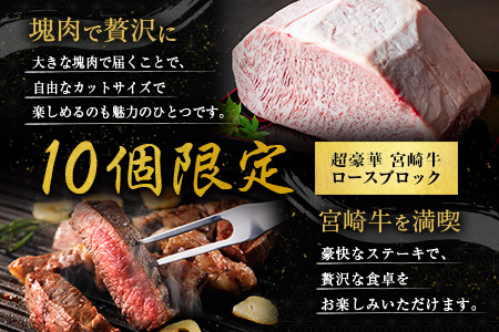 ［限定10個］超豪華 宮崎牛 ロースブロック 計3kg 牛肉 焼肉 BBQ ステーキ 国産 宮崎県産【F146-25】