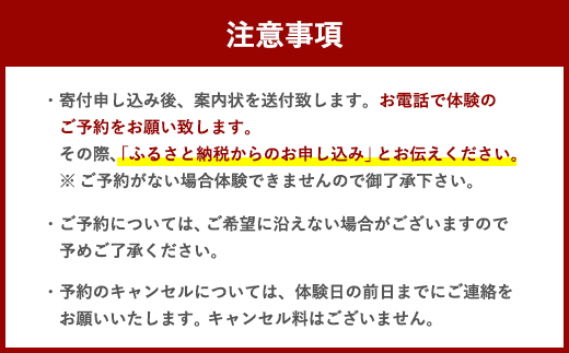 ウェイクサーフィン 2時間 体験 アクティビティ 体験チケット