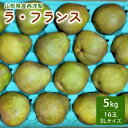 【ふるさと納税】西洋梨 (ラ・フランス) 5kg 16玉 ご家庭用 果物 フルーツ 山形 洋なし 産地直送 お取り寄せ 送料無料 山形県 上山市 0042-2412