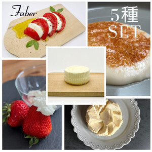 ＜定期便12回＞【MOFコンテスト金賞受賞】ファーベル5種のチーズセット