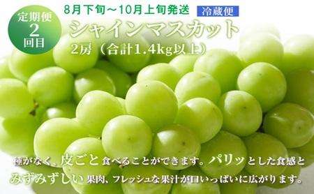 フルーツ 定期便 【2027年 先行予約】 晴れの国 おかやま の 白桃 2kg(5玉～7玉) シャインマスカット 2房 合計1.4kg以上 岡山県産 国産 セット ギフト