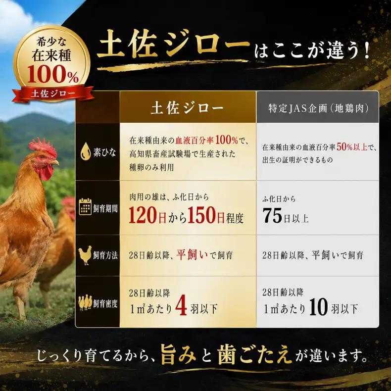 地鶏 土佐ジロー 1羽 卵 セット 地鶏【9月発送】地鶏