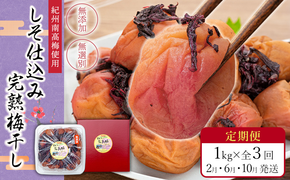 【定期便（2月・6月・10月）全3回お届け】 紀州南高梅使用 しそ仕込み完熟梅干し 無選別1kg ［TM214］ 303446_XH92267