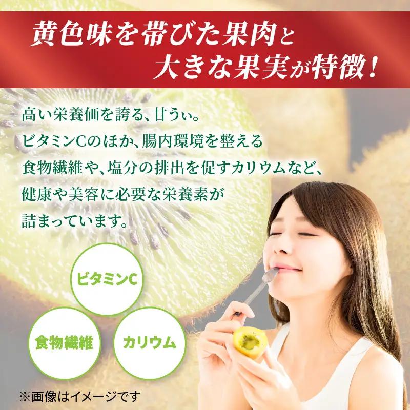 【先行受付：2026年11月頃発送開始】福岡限定品種キウイ「甘うぃ」約3kg<配送不可地域：北海道・沖縄・離島> 先行受付 キウイ キウイフルーツ フルーツ 果物 くだもの 甘い 高糖度 希少 オリジ