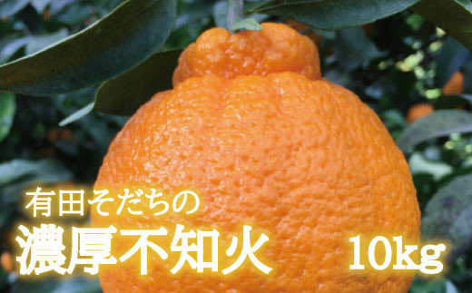 
                  【先行予約】有田育ちの濃厚不知火(ご家庭用)(通称デコポン)　約10kg【ard023B】
                