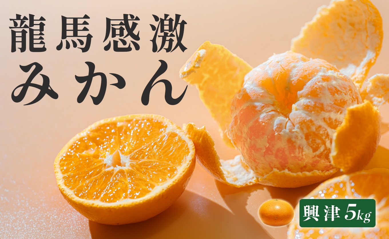 
                  みかん 5kg 龍馬感激みかん 興津 温州みかん 早生みかん ミカン 蜜柑 柑橘 フルーツ 果物 高知県産 国産 産地直送 甘い 濃厚 コーラルフルーツ農場 高知県 大月町
                