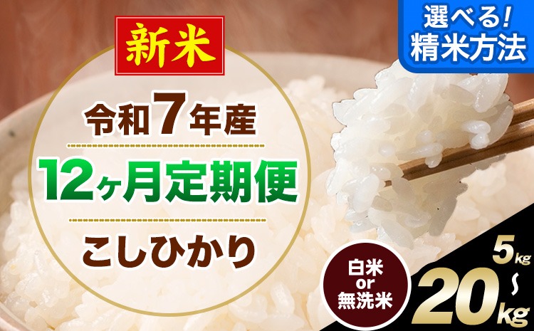 【12ヶ月定期便】新米 令和7年産 無洗米 も 選べる 定期便 こしひかり 白米 or 無洗米 選べる精米方法 定期便 内容量 5kg 10kg15kg 20kg 白米 精米 無洗米 熊本県産(南阿蘇村産含む) 単一原料米 南阿蘇村《申込み翌月から発送》---kh6tei_144000_5kg_mo12_mna_h---