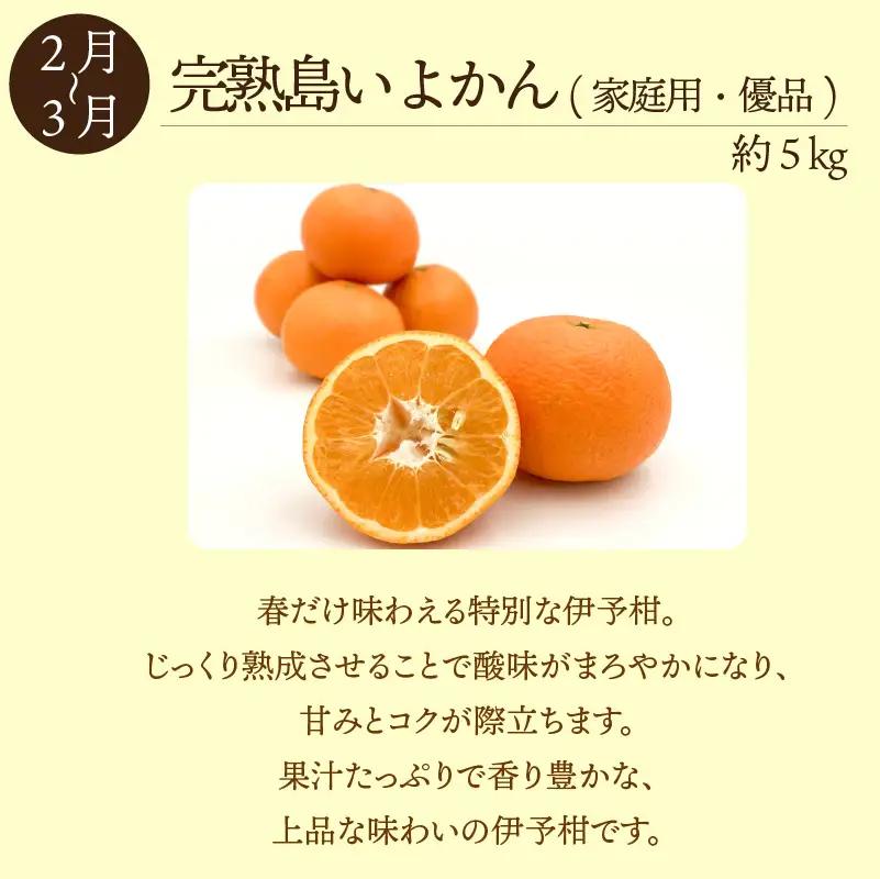 愛媛 みかん 定期便【全3回】瀬戸内みかん 島便り | 石地みかん 完熟島いよかん カラマンダリン 【KK336】