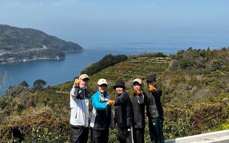 【先行予約】【訳あり】サンフルーツ 約10kg ※離島への配送不可　※2027年3月中旬より順次発送予定 IKTAU012