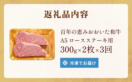 「百年の恵み おおいた和牛 」A5 ロースステーキ用 300g × 2枚 × 3ヶ月 定期便 おおいた和牛 ロースステーキ A5等級 黒毛和牛 大分県産 牛肉 高級肉 霜降り 和牛ステーキ 風味豊か 
