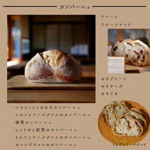 ロスパン詰め合わせセット（約10個）≪ロスパン 冷凍パン ベーグル 詰め合わせ 天然酵母 薪窯焼き フードロス 国産小麦≫