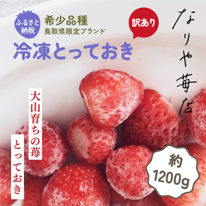 MI-02　【訳あり】冷凍とっておき苺（約1200g）