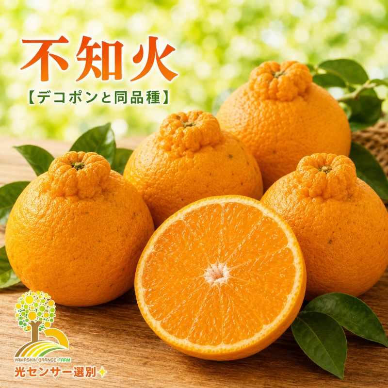【ふるさと納税】 不知火 （ しらぬい ） サイズ混合 光センサー 家庭用 訳あり / 甘い 和歌山 柑橘 5kg 7kg ※2027年2月中旬～4月中旬に順次発送 ※北海道・沖縄・離島への配送不可 //dekopon