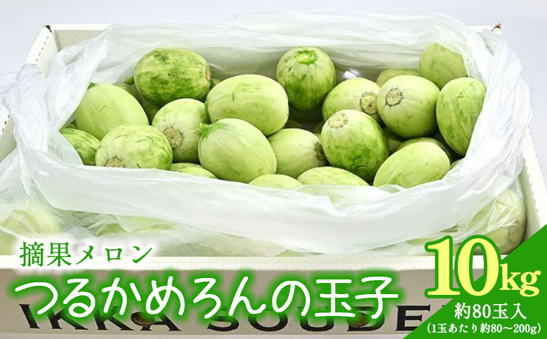 つるかめろんの玉子(摘果メロン) 10kg 約80玉 tn-0017