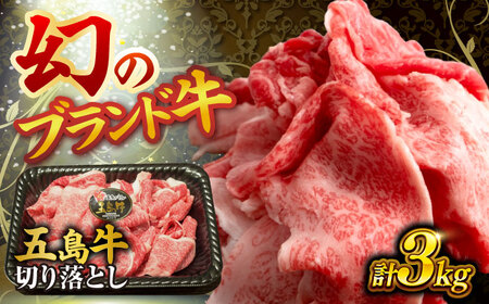 五島牛の切り落とし 3kｇ 国産牛 牛肉 ブランド牛 牛 五島市/株式会社 Factory [PFN017]