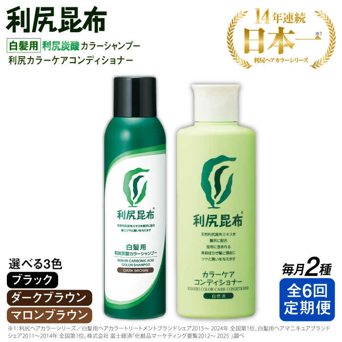【ふるさと納税】【全6回定期便】【色が選べる！2本セット】【白髪用】利尻炭酸カラーシャンプー＋利尻カラーケアコンディショナー ムラなく染まる 濃密泡 白髪染め 無添加 植物由来 ヘアカラー シャンプー 低刺激 炭酸 敏感肌 ノンシリコン 補修 ヘアケア