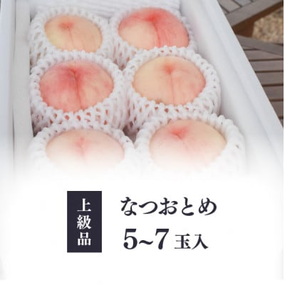 【きよとうファーム】乙女のような可愛い甘い桃「なつおとめ」上級品 5-7玉入(岡山県産)【配送不可地域：離島】