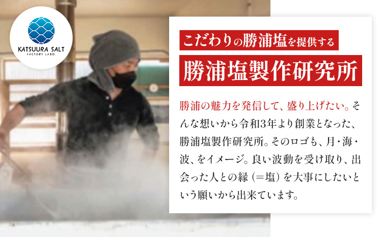 千葉県 勝浦市 満月の刻 45g と 新月の煌 45g  各10袋 セット 【配送不可地域あり】 《90日以内に出荷予定(土日祝除く)》 塩 勝浦塩 調味料