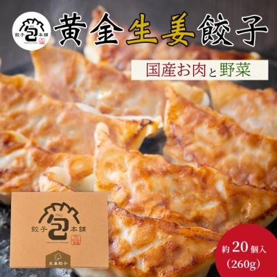 ふるさと納税 三原市 「黄金生姜餃子」260g(約20個)  [058-012]