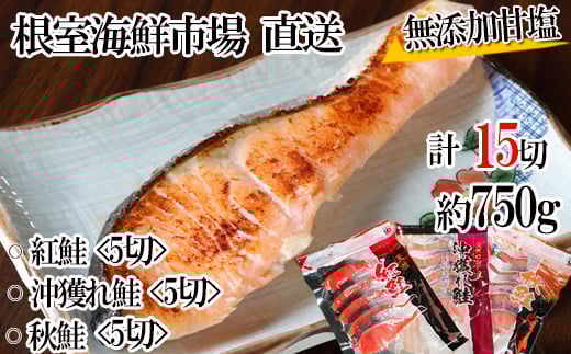 G-14039 無添加甘塩天然鮭3種セット(計15切、約750g)