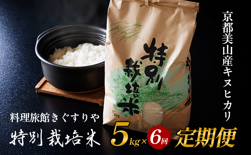 定期便 6回　料理旅館きぐすりや　令和8年産 　特別栽培米キヌヒカリ 5kg 新米26
