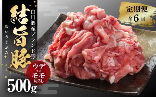 《定期便》全6回 結旨豚 ウデ又はモモ 切り落とし 500g 冷凍真空パック | 肉 お肉 豚肉 国産 食べ比べ セット 白川郷 岐阜県 白川村 ブランド豚 人気 おすすめ ギフト 飛騨高山ミート 36000円 [MS103]