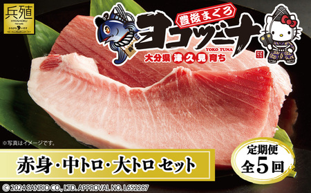 本マグロ【定期便5回】 本マグロ贅沢セット