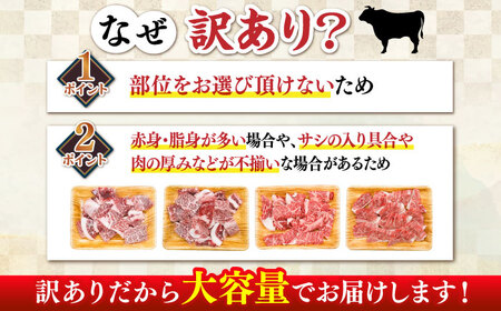切り落し 【全6回定期便】 【訳あり】 500g  [ABBP152] 切り落し