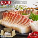 【ふるさと納税】＜宇和海産 「超冷薫」冷凍ぶり ブロックカット 1kg（約3～5個）＞ ブリ 鰤 魚介類 さかな 新鮮 水産物 お刺身 さしみ 煮物 焼き魚 切り身 パーティー キャンプ レジャー お祝い 内祝い 御祝 御礼 ダイニチ 愛媛県 西予市【冷凍】『1か月以内に順次出荷』