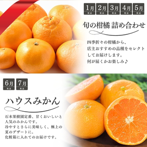 【全12回】 柑橘 定期便 石本果樹園 店主おすすめの柑橘セットを毎月お届け！ / みかん フルーツ 定期便 みかん フルーツ 定期便 みかん フルーツ 定期便 みかん フルーツ 定期便 みかん フル