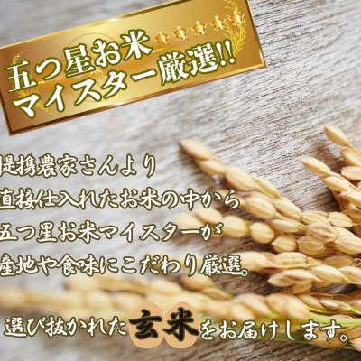 ふるさと納税 伊万里市 令和7年産【玄米】 さがびより5kg【特A評価】《マイスターセレクト》 |  | 02