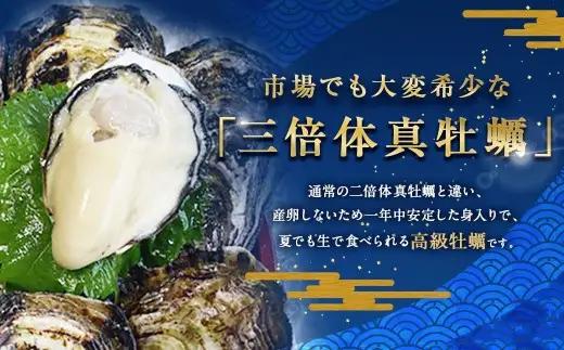 生食用 真牡蠣「ぷりみ」約3kg かき 牡蠣