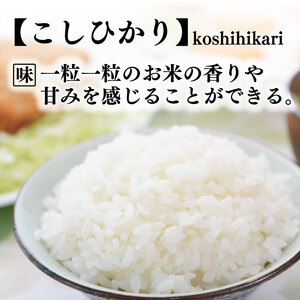 《令和7年産》4回定期便 こしひかり(白米) 定期便 10kg×4回 こしひかり AS016