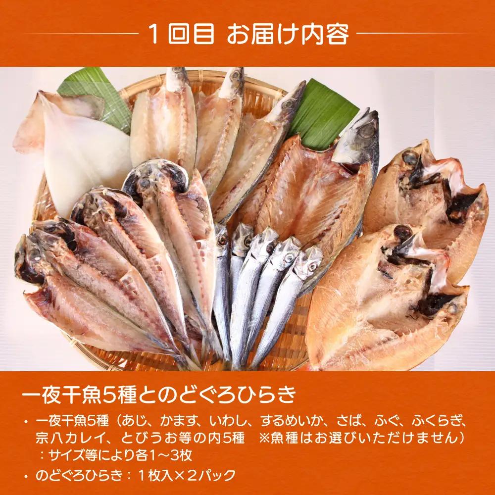 【3ヶ月連続お届け】氷見堀与 一夜干・昆布〆刺身・海の幸詰合＜氷見鰤・蛍いか・のどぐろ入＞  富山県 氷見市 干物 詰め合わせ 魚介類