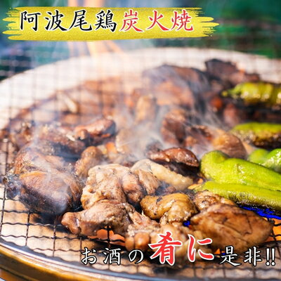 【ふるさと納税】阿波尾鶏炭火焼（100g×3袋）