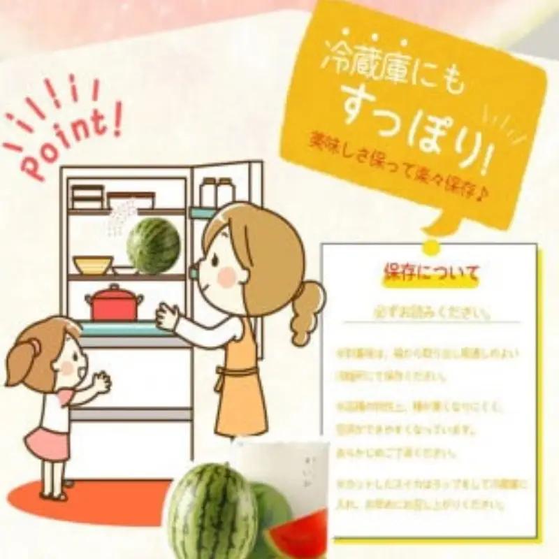 紀州和歌山産小玉スイカ「ひとりじめ」２玉【予約】※2026年6月上旬頃～7月上旬頃に順次発送予定(お届け日指定不可) スイカ すいか 果物【uot779】