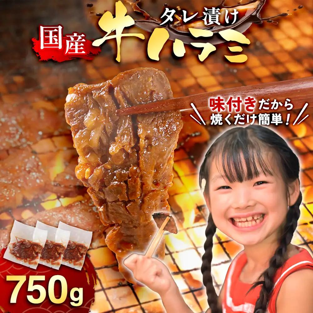 牛肉 焼肉 国産 特製たれ漬 牛ハラミ サガリ 750g [宇美ホルモン 福岡県 宇美町 um40azp100004]
