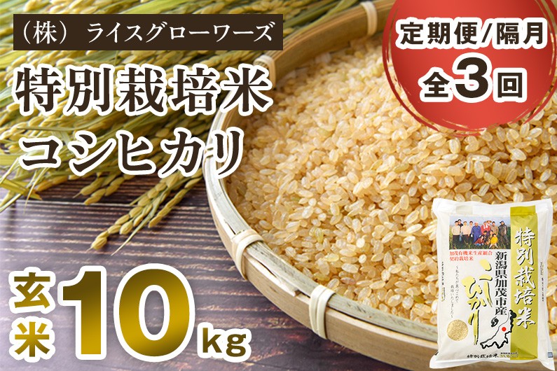 
                  【令和8年産新米先行予約】【定期便3回隔月お届け】特別栽培米 コシヒカリ 玄米 10kg（5kg×2）《10月上旬～順次出荷》 従来品種 従来コシヒカリ お米 米 （株）ライスグローワーズ 新潟県 加茂市産 定期便
                