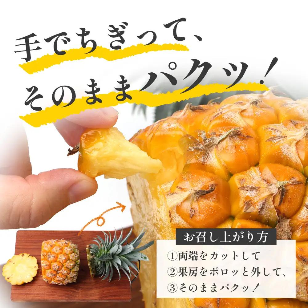 【先行受付】パイナップル/ボゴール種 (約800g×2玉) ≪2026年7月下旬以降順次発送≫ DS-004 ｜パイン パイナップル パインアップル フルーツ ボゴールパイン スナックパイン 産地直送