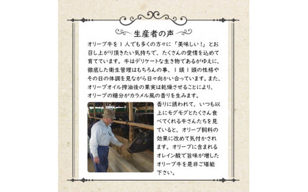 香川県産黒毛和牛 オリーブ牛 ハンバーグ6袋セット(100g×12枚入)